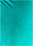 Velvet Low Back One Piece Teal