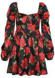 Corset Mini Dress Antique Roses