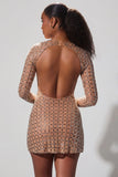 Embellished Semi Sheer Cut Out Mini Dress in Almond