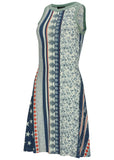 Printed Fit And Flare Dress Americana Floral Star