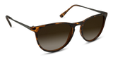 Shockoe Sunglasses