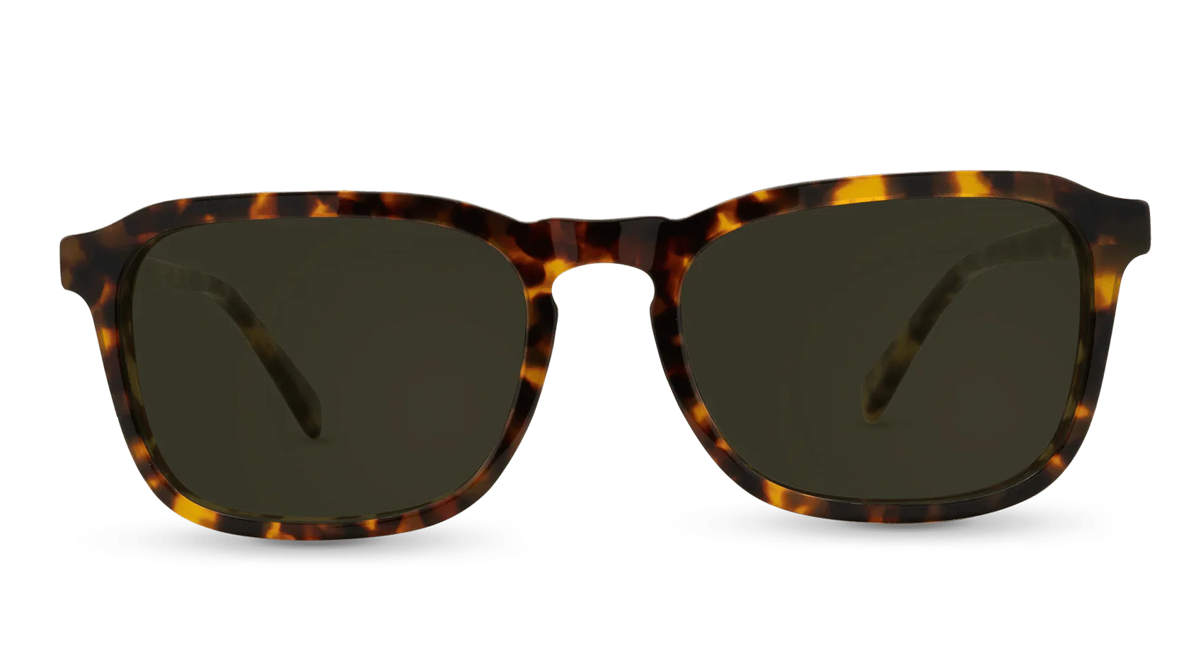 Hawksbill Sunglasses