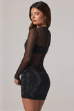 Sheer Embellished High Neck Long Sleeve Mini Dress in Black