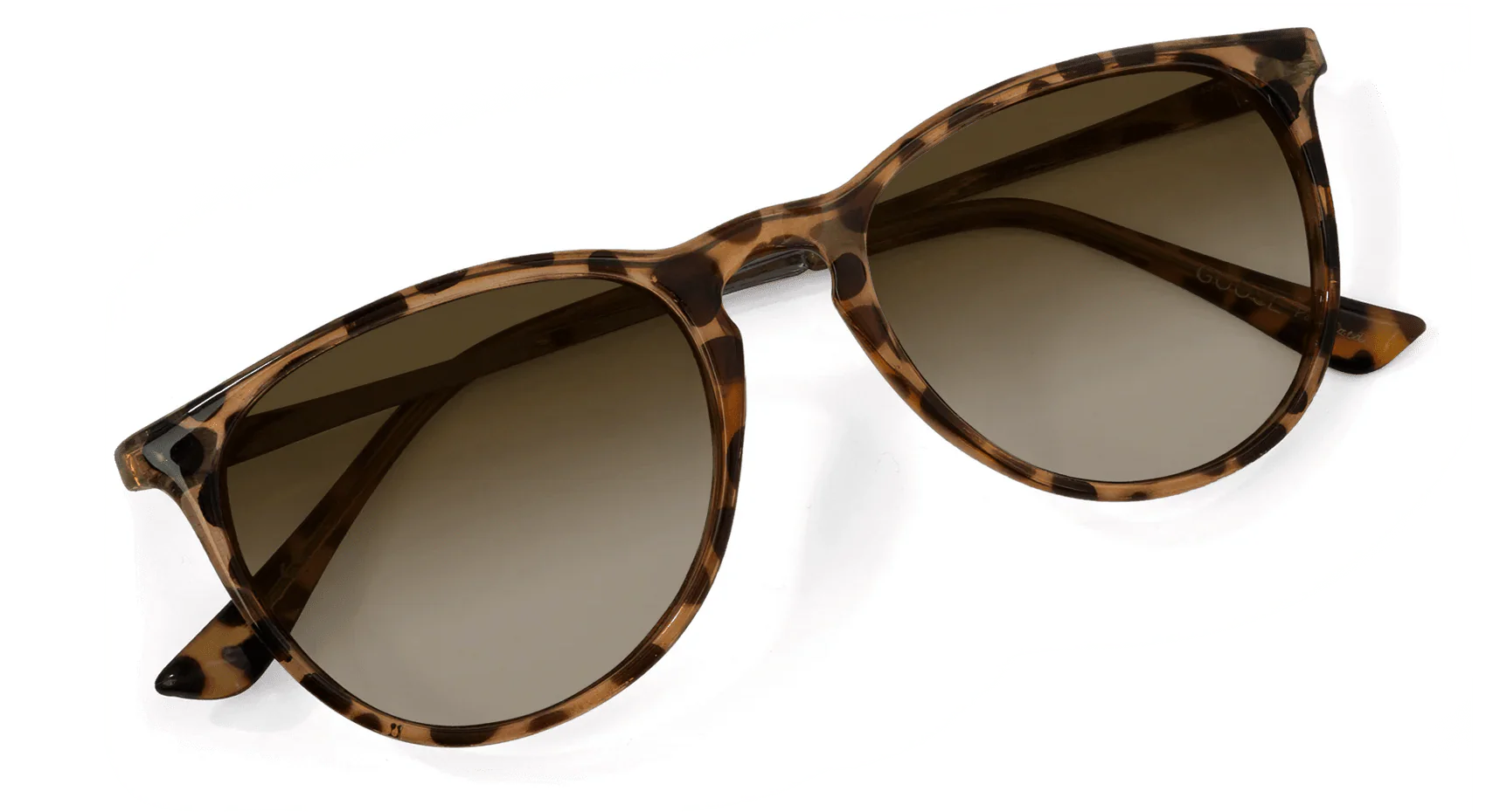 Shockoe Sunglasses