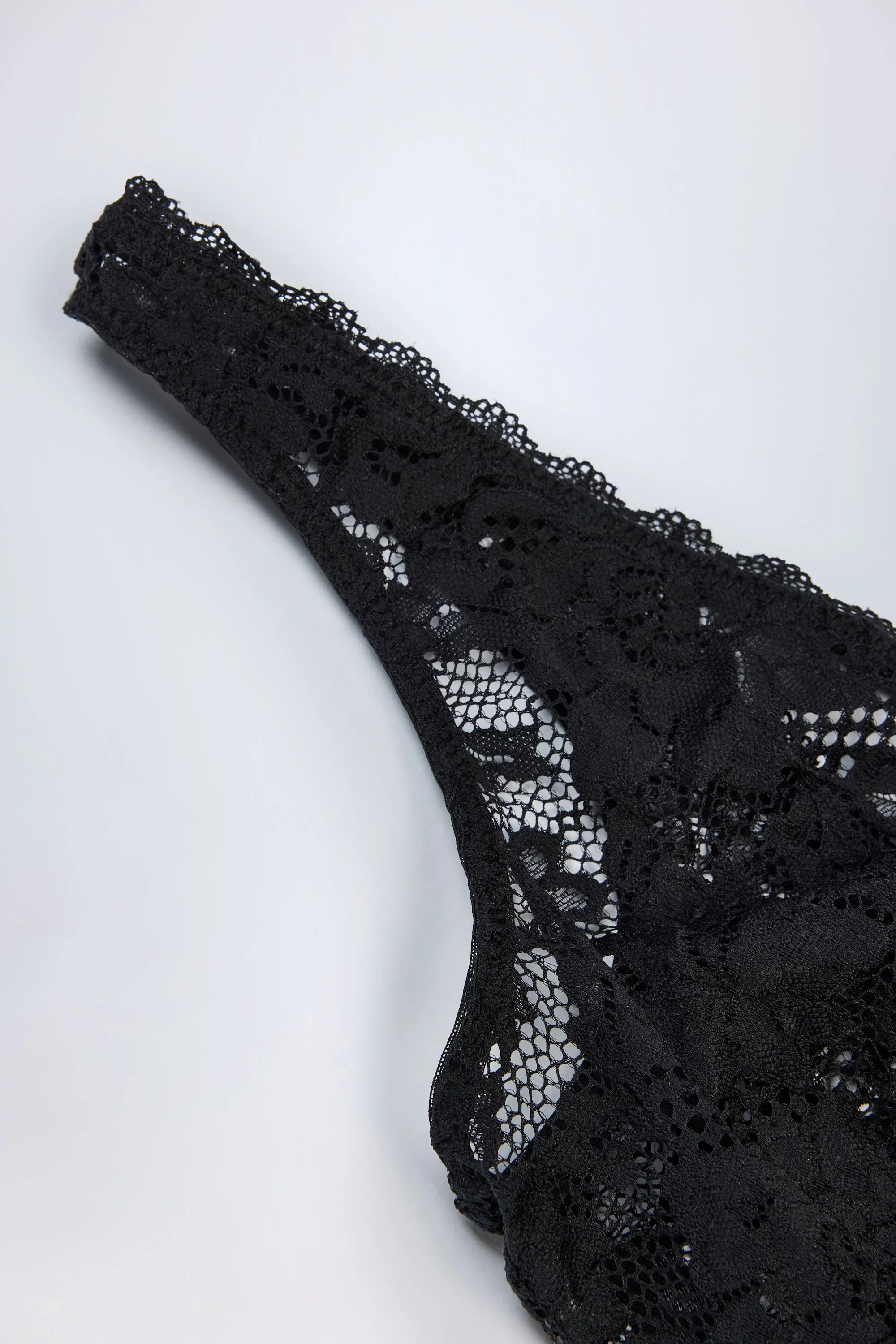 Sheer Lace Scalloped Plunge Neck Bodysuit in Black