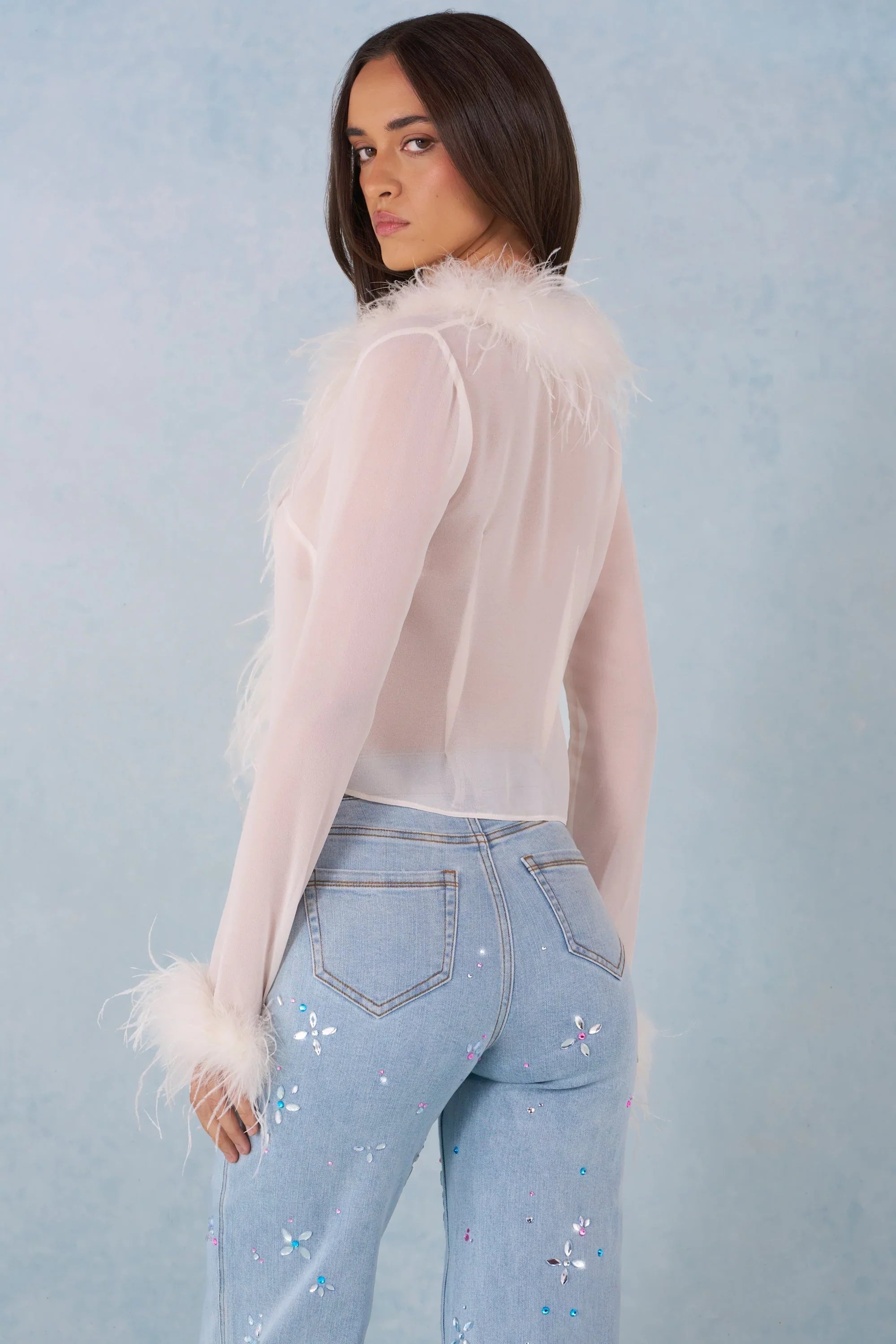 Feather Trim Sheer Top in Ivory