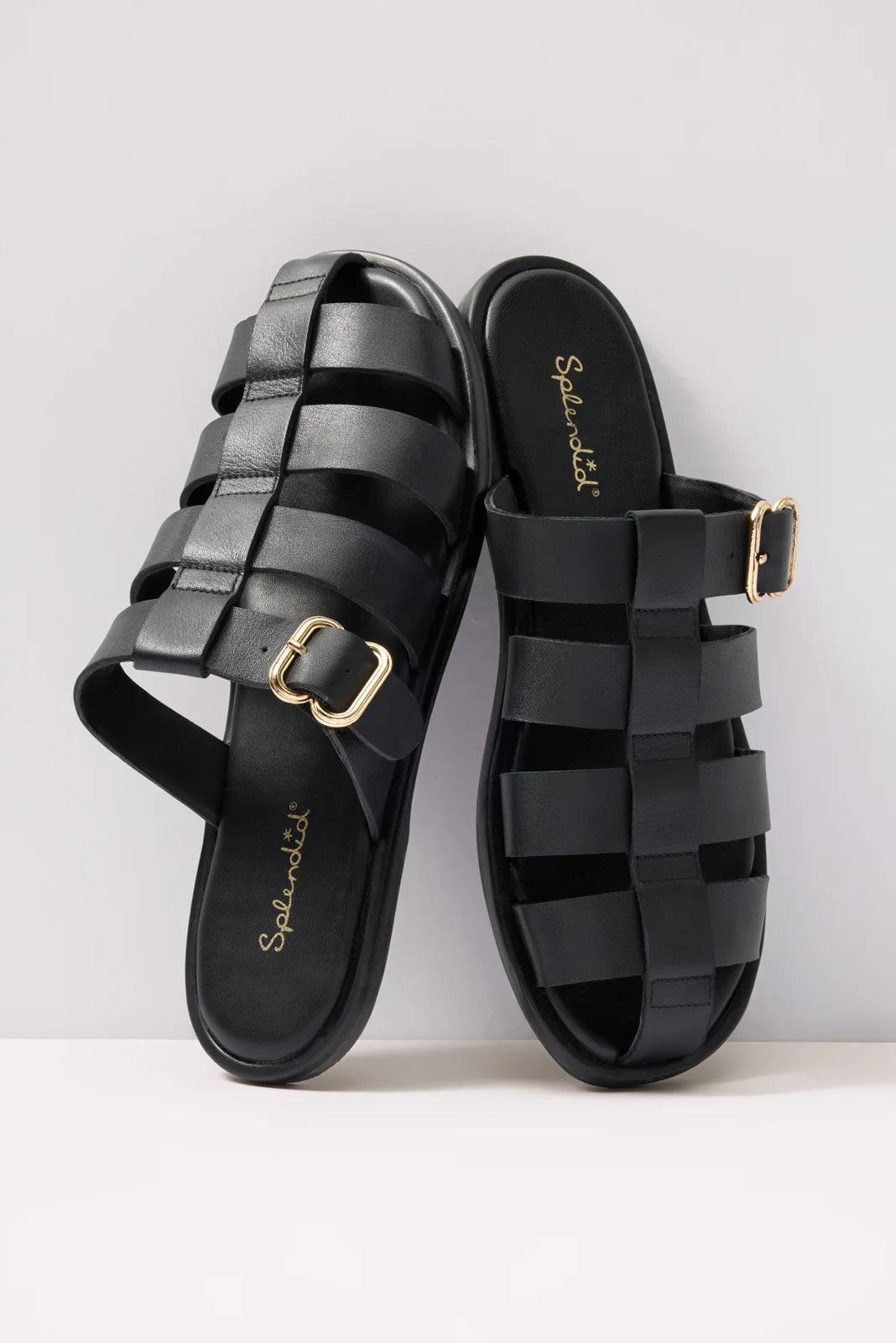 Fatima FIsherman Slide