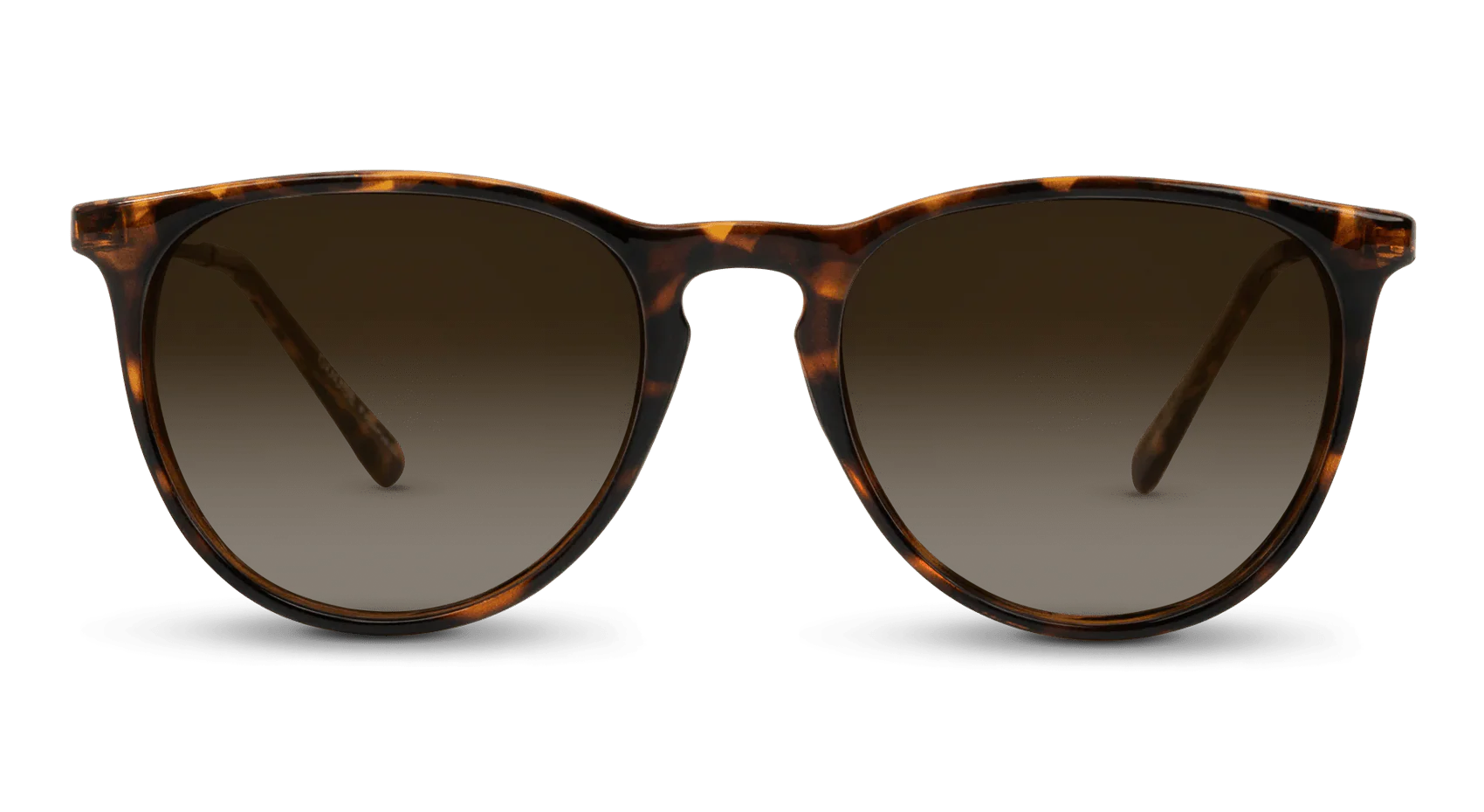 Shockoe Sunglasses