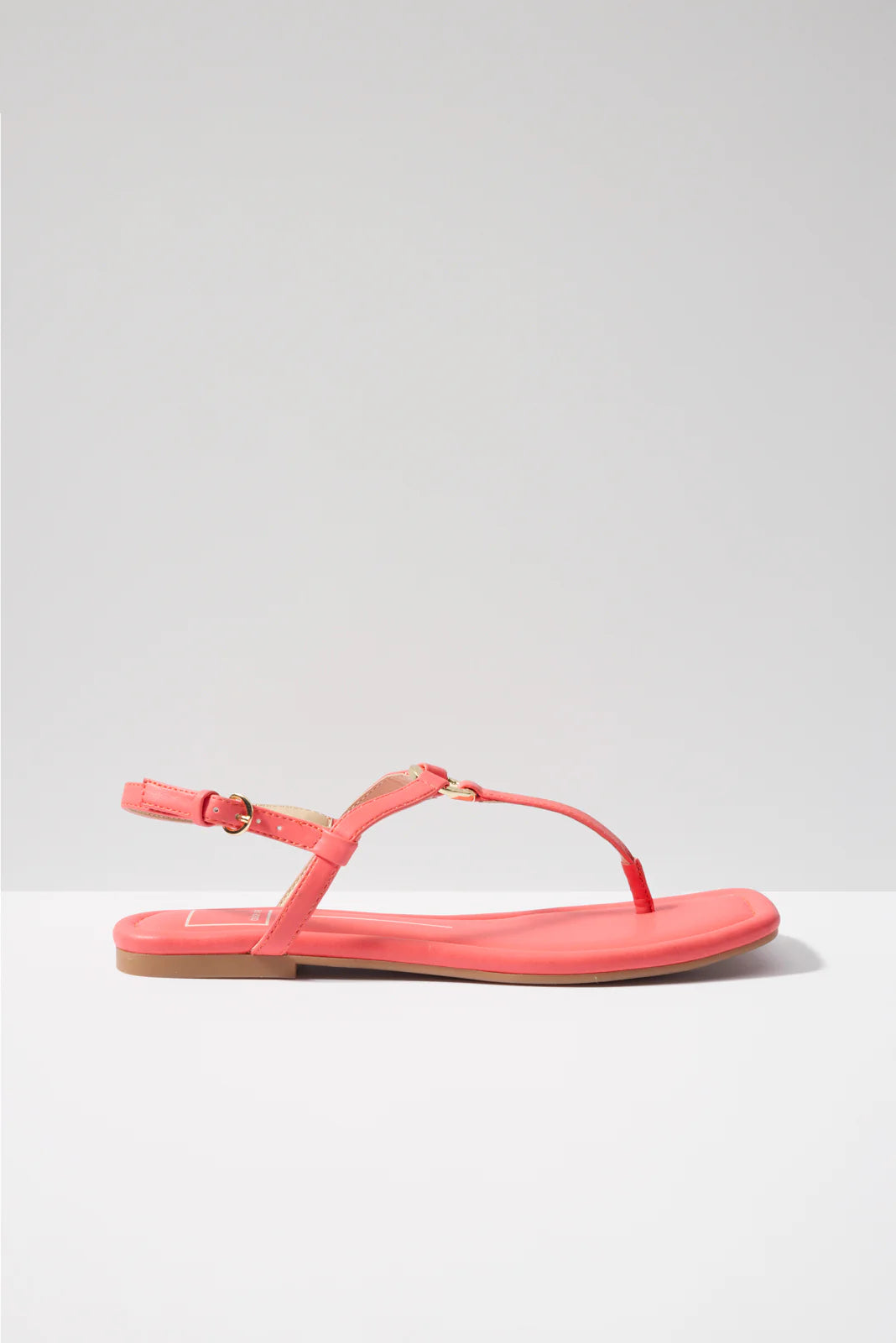 Lorene T Strap