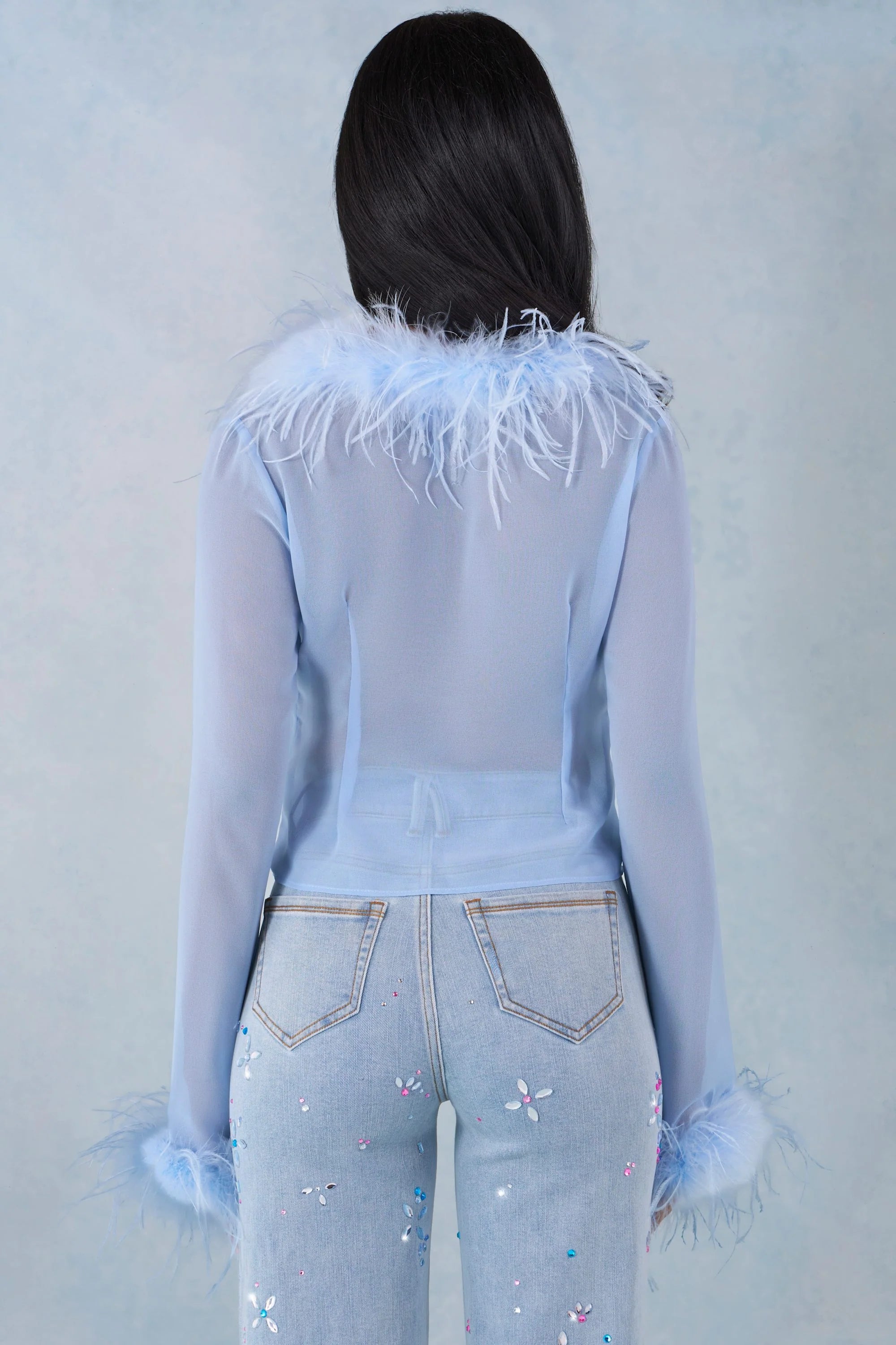 Feather Trim Sheer Top in Soft Blue