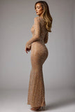 Sheer Embellished Long Sleeve Evening Gown in Almond